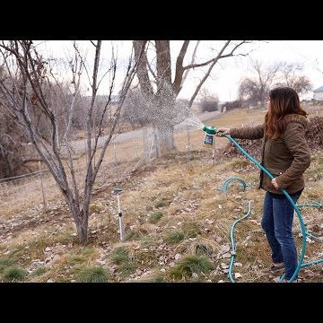 How to Spray Fruit Trees in the Winter