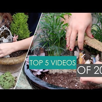 Top 5 Garden Answer Videos of 2015