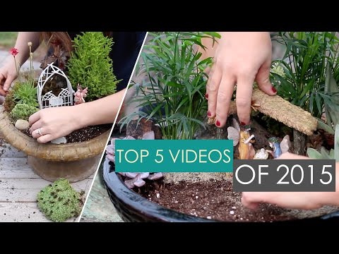 Top 5 Garden Answer Videos of 2015