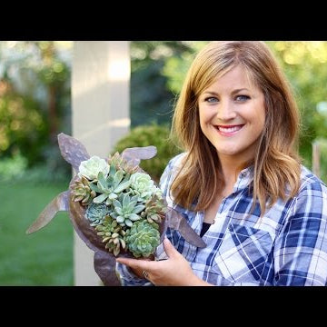 CUTE Turtle Succulent Planter!!