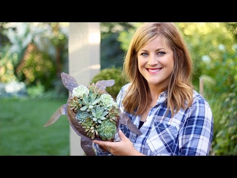 CUTE Turtle Succulent Planter!!