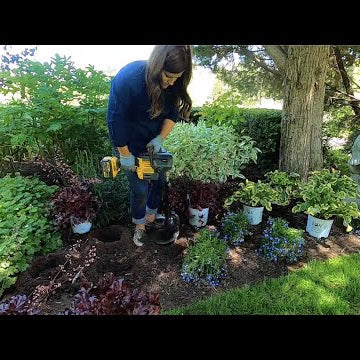 Planting in My Parent’s Garden!