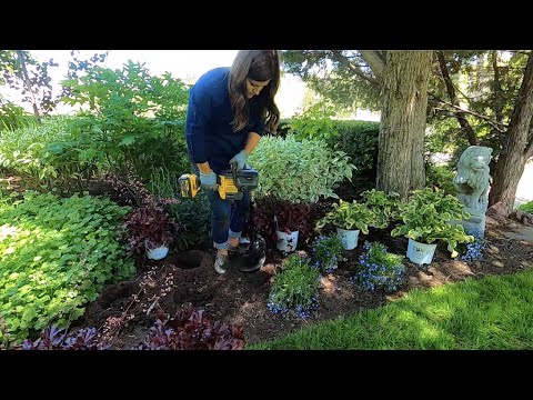 Planting in My Parent’s Garden!