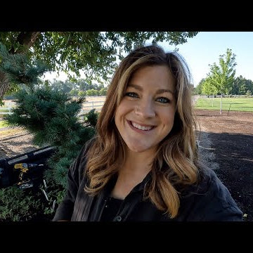 Planting Two Evergreens & Flower Seedlings!