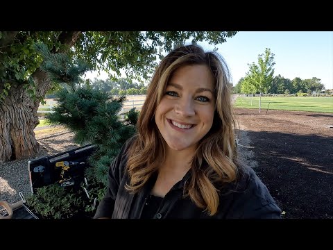 Planting Two Evergreens & Flower Seedlings!