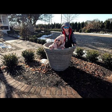 Placing Big Concrete Pots & More Flower Bed Cleanup!