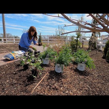 More Plants for the Moon Garden!