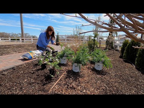 More Plants for the Moon Garden!