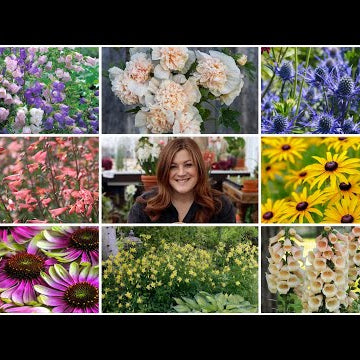 10 Amazing Perennials You Can Start From Seed!