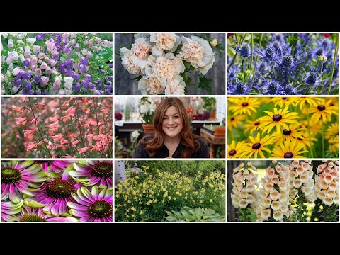 10 Amazing Perennials You Can Start From Seed!