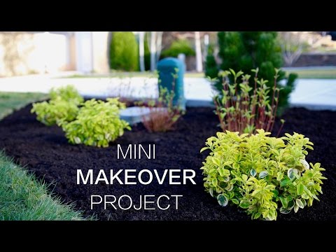 Mini Makeover Project