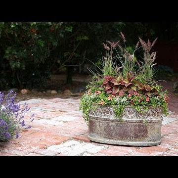 Container for Green Profit Magazine