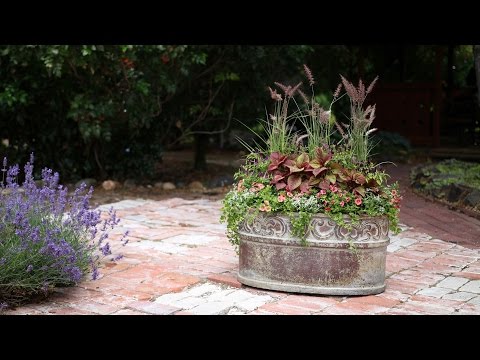 Container for Green Profit Magazine