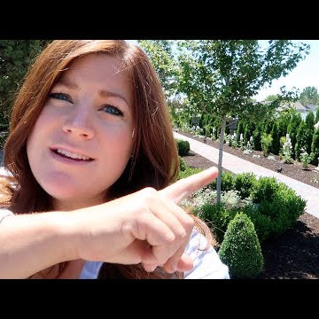 I'm FINALLY Planting in the Moon Garden!