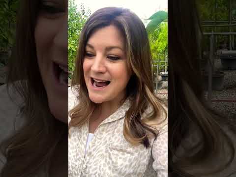 Q&A with My Mom!