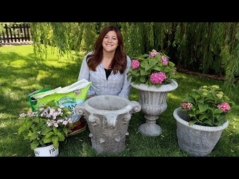 I’ve Struggled with Certain Types of Hydrangeas, So I’m Trying Again in Containers!