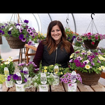 Hanging Baskets Part 2: Let’s Talk About Plants!