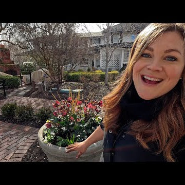 Planting Up the 4 Big New Concrete Pots + Making Gummy Snacks from Homegrown Fruit!