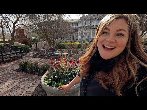 Planting Up the 4 Big New Concrete Pots + Making Gummy Snacks from Homegrown Fruit!