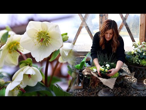 First Containers of Spring!