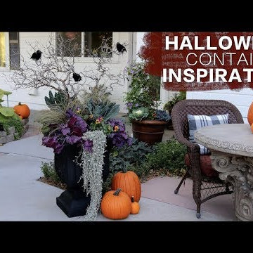 Halloween Container Inspiration