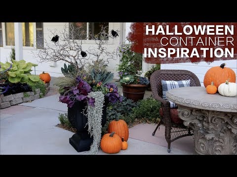 Halloween Container Inspiration