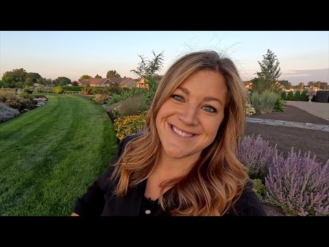 Cut Flower Garden Tour!!! SO Many Pretty Things!