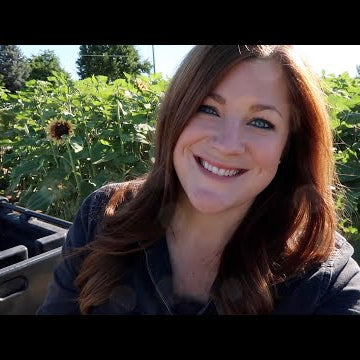 Cut Flower Garden Update Tour / Harvesting Sweet Pea Seeds & Strawflowers