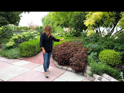 August Garden Tour! Trying to Keep Things Alive in the Heat!