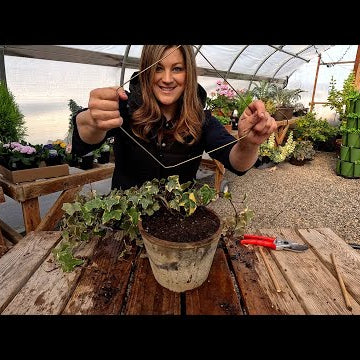 DIY Ivy Wreath Topiary + Planting Snapdragon & Delphinium Seeds!