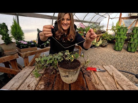 DIY Ivy Wreath Topiary + Planting Snapdragon & Delphinium Seeds!
