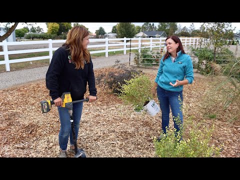Gardening With My Friend Jenny!