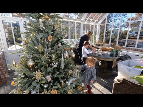 Decorating the Hartley Tree & the Kitchen Window!