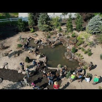 Day 3 of the Pond Install: Finish Rock Work, Filling it Up, & Plants!!!