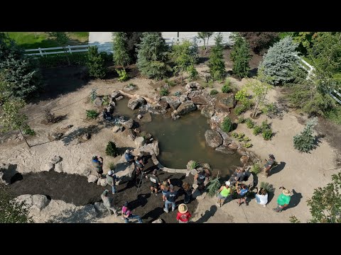 Day 3 of the Pond Install: Finish Rock Work, Filling it Up, & Plants!!!
