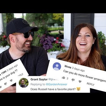 Q&A June 2019