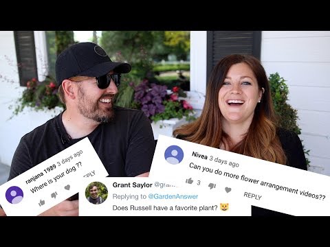 Q&A June 2019