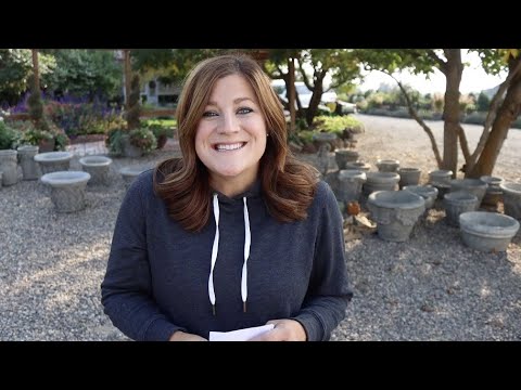 Beautiful Concrete Unboxing!