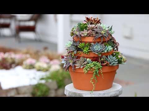 Succulent Tower