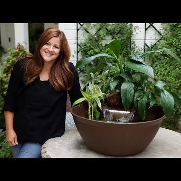 Creating a Water Garden with Waterfall