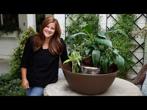 Creating a Water Garden with Waterfall