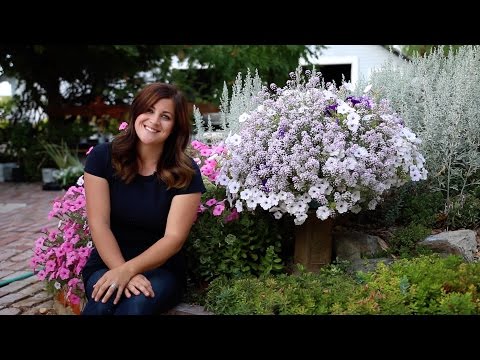 Flower Pillows for Fall