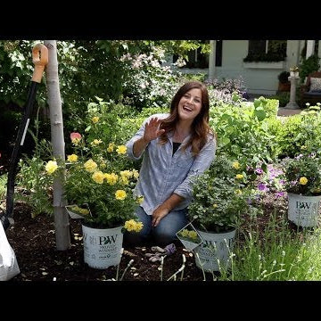 Planting Some Roses in my Garden!