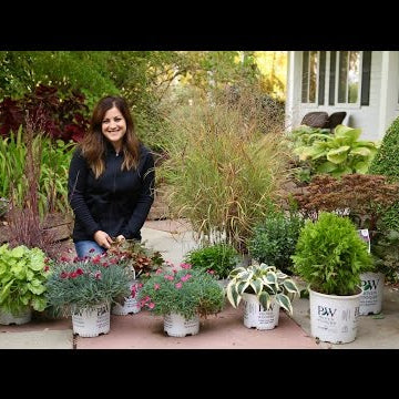 Show & Tell - Plants That Look Great in Late Fall