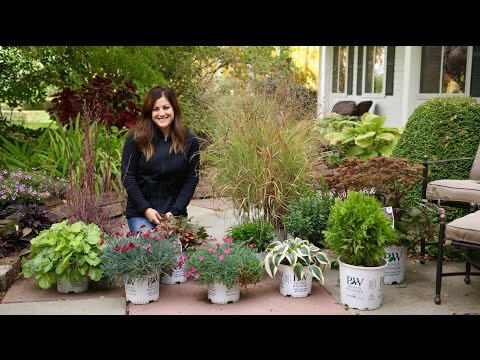 Show & Tell - Plants That Look Great in Late Fall