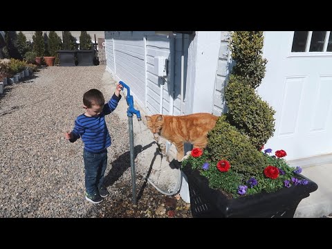 Planting RED Flowers  + Mulching the Cut Flower Garden!