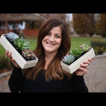 Succulent Gift Boxes + Giveaway