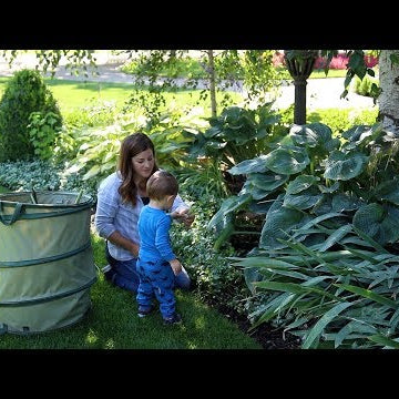 Summer Garden Cleanup!