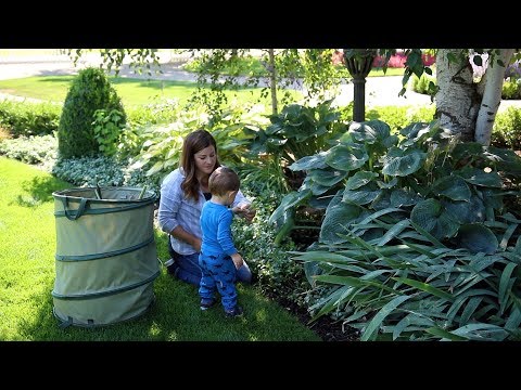 Summer Garden Cleanup!