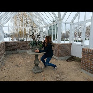 Winter Arrangement for the Hartley, Greenhouse Plant Maintenance & Cucumber Salad!